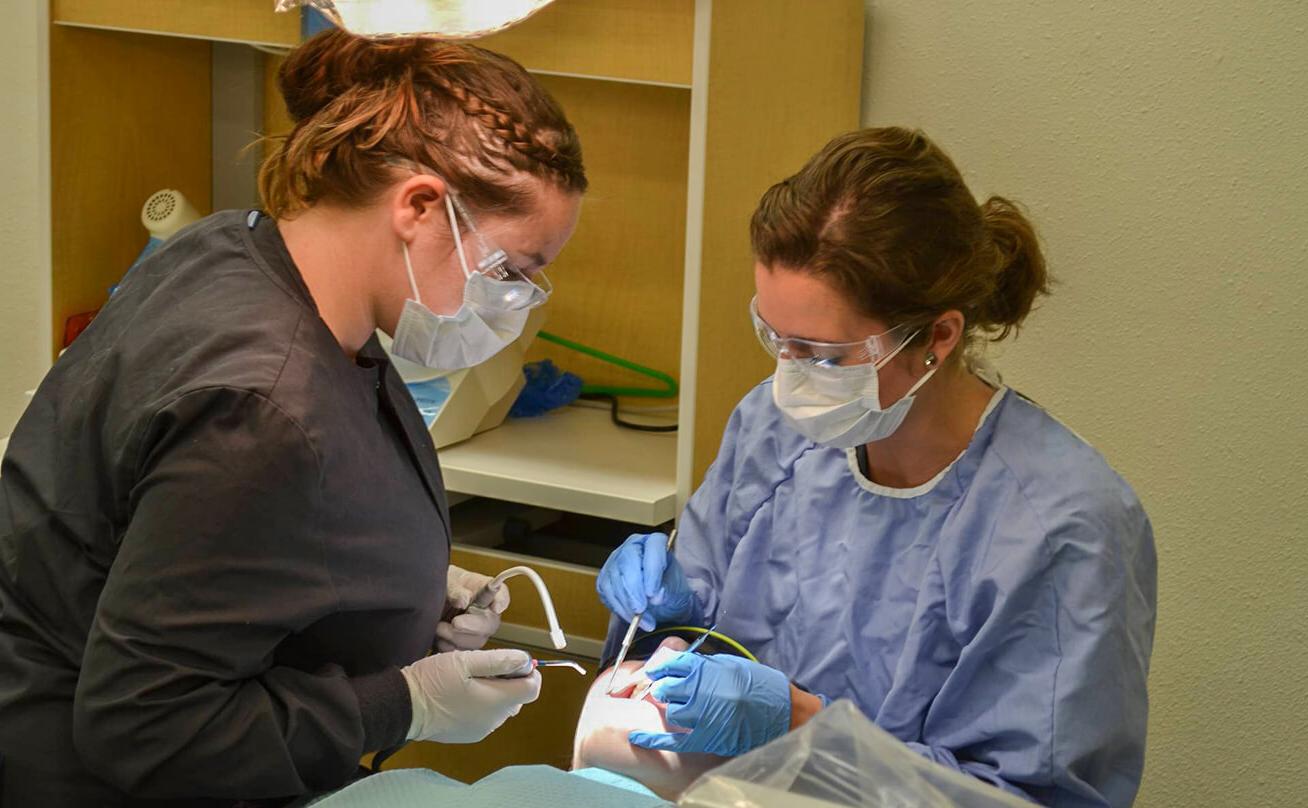 Two students practicing dental work in classroom